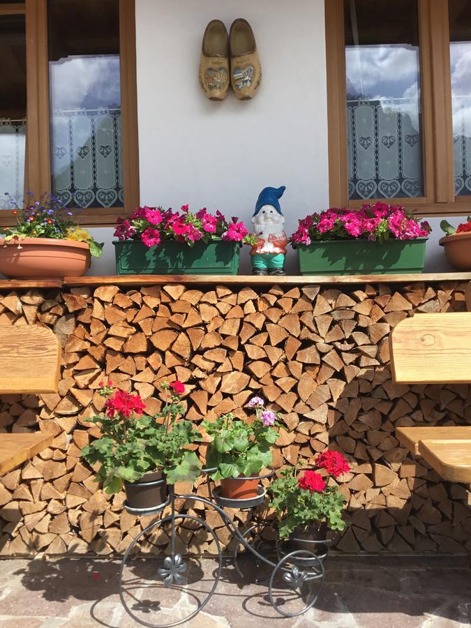 B&B Solder Chalet Dolomiti Sappada Kültér fotó